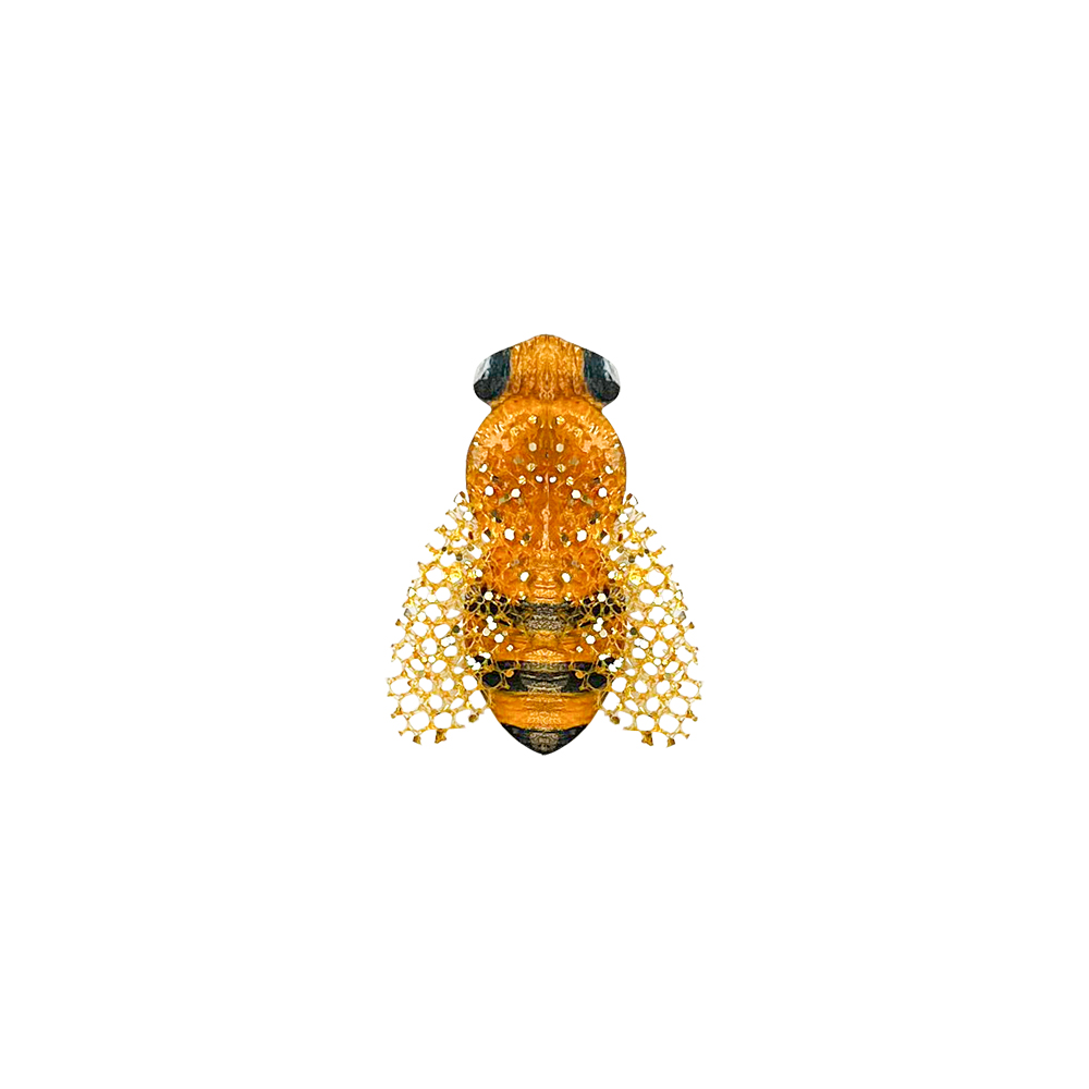BROCHE-ABEJA-PEQUENA-1.jpg